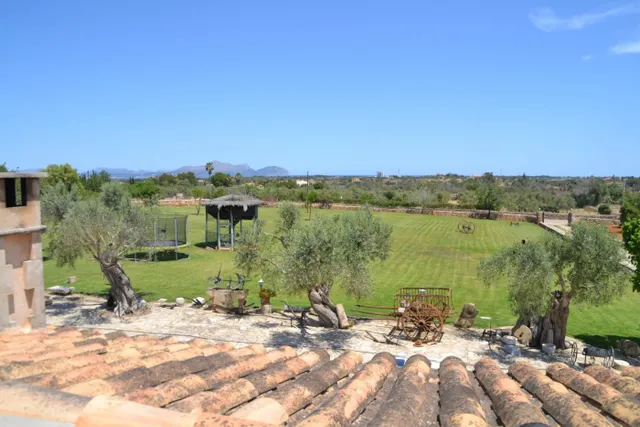 Magnifica finca — 40