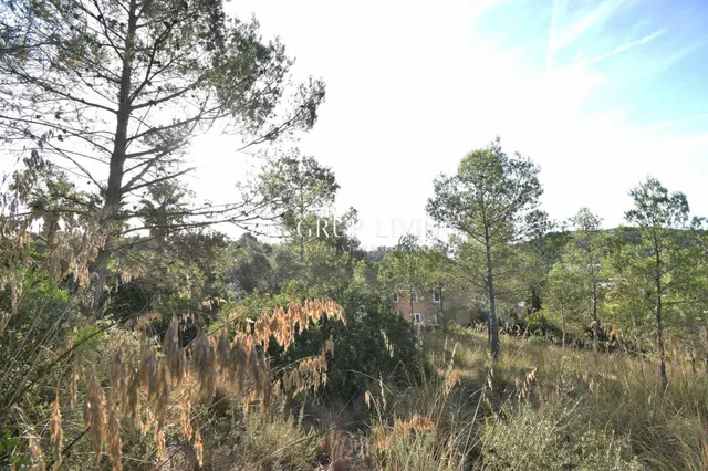 TERRENO CON BUENA ORIENTACIÓN Y VISTAS EN MAS MESTRE — 2