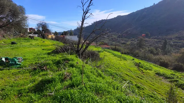Terreno rural en venta - La yedra gran canaria — 15