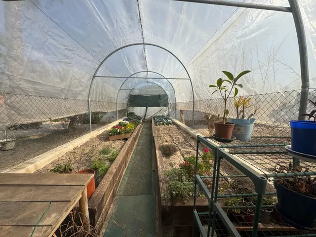 FINCA LAS BRISAS EN DAYA VIEJA — 22