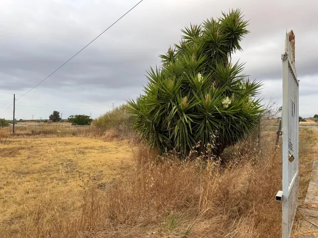 ¡Ocasión en Trigueros! Finca rústica totalmente legalizada con excelente acceso y gran tranquilidad — 6