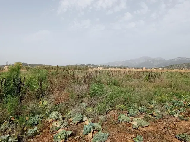 FINCA RUSTICA EDIFICABLE - foto 3
