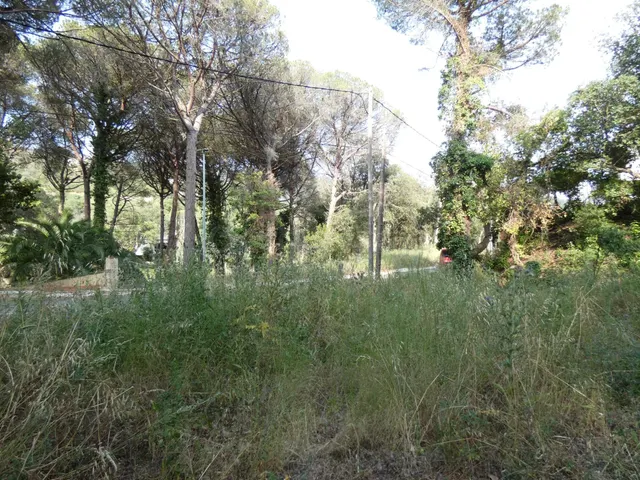 CALONGE: Parcela 626 m2 . MUY LLANA en Urb.Mas Pere, CON TOD - foto 5