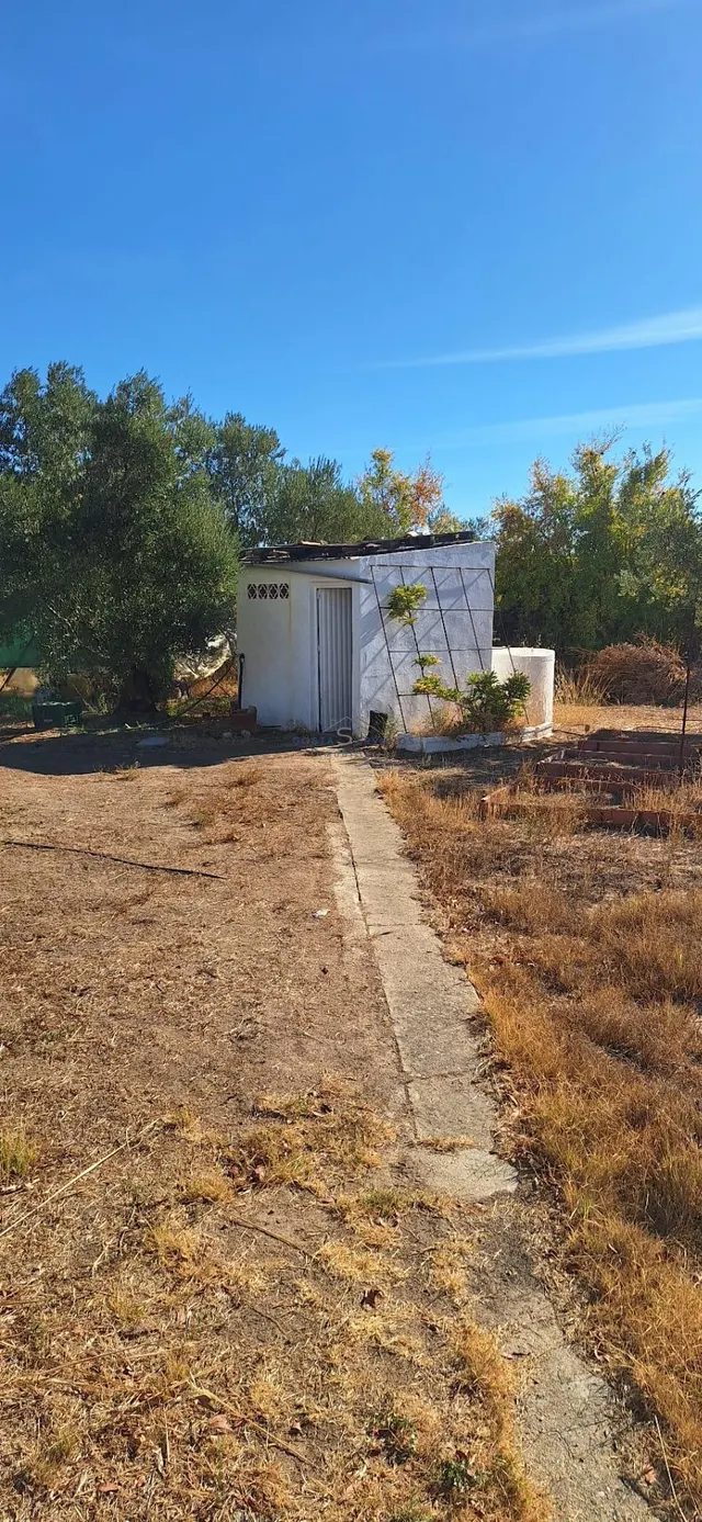 Finca Rustica En Gibraleon — 24
