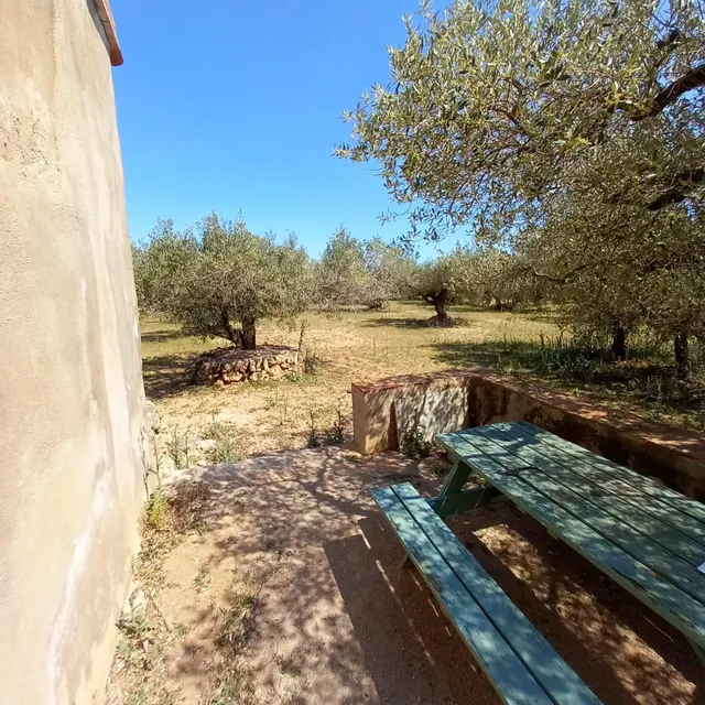 Casa de campo y olivar ecológico certificado. — 10