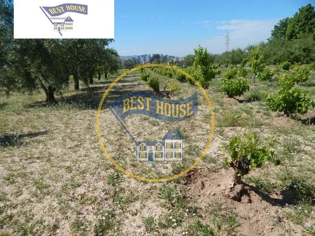 ¡OPORTUNIDAD! CHALET PRÓXIMO A LA POBLACIÓN DE ONTINYENT(VALENCIA) — 5