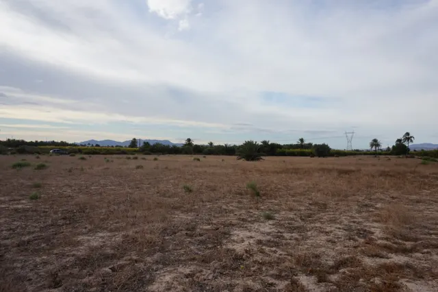 AMPLIA PARCELA DE 13000 M2 ZONA DE LA HOYA — 4