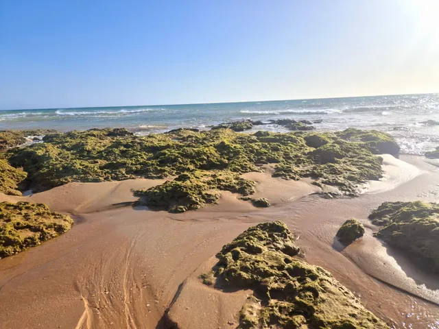Tu refugio entre Vejer y el Atlántico — 22