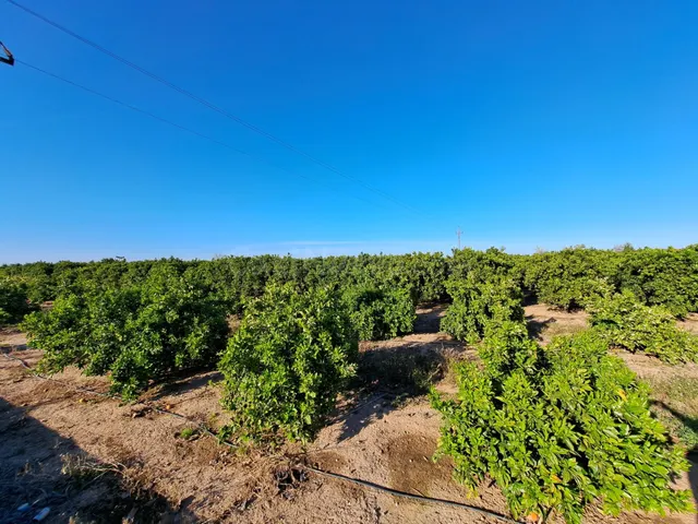 TERRENO DE MÁS DE 24.200 m2, COMPUESTO POR 5 CAMPOS