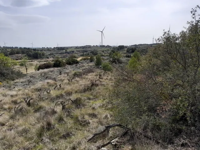 OPORTUNIDAD CASA DE CAMPO CON INMEJORABLES ACABADOS EN FINCA RUSTICA DE BATEA — 49