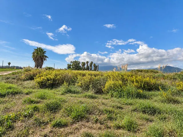 Finca rústica de 6.705 m2 en la zona de els ullals de baltasar, Amposta — 11