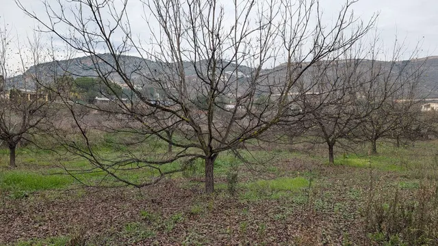 Parcela en venta - Puerto Sol-Los Almendros-El Tomillar — 16