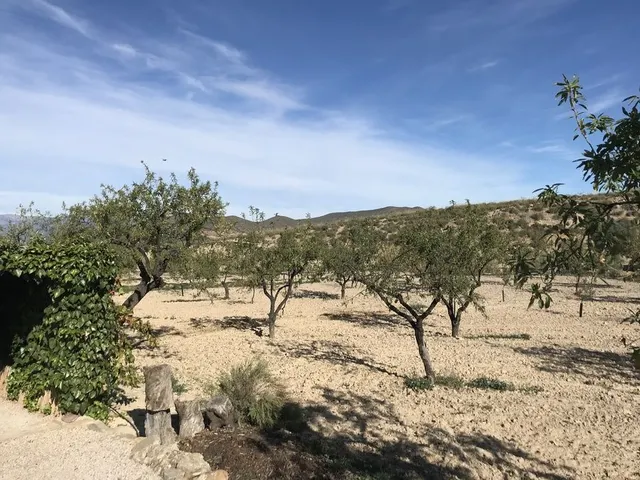 Finca rústica 4 habitaciones 278m² en venta - La Hoya-Almendricos-Purias — 19