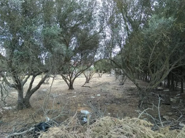 MAGNIFICA PARCELA EN PUERTO REAL EN CASINES — 5