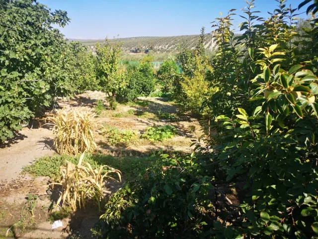 Casa de campo en Lucena — 10