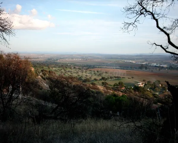 Amplia Parcela en Alcolea, Córdoba - foto 2
