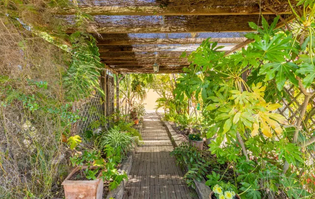 Magnifica finca de 200 años en Teulada — 10