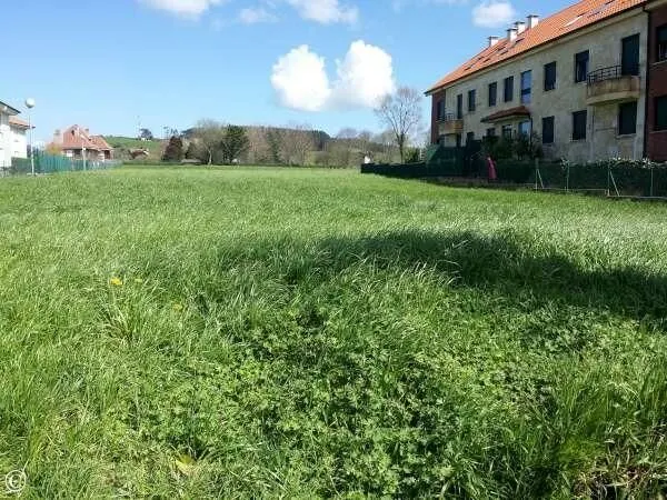 TERRENO URBANO EN MERUELO — 5