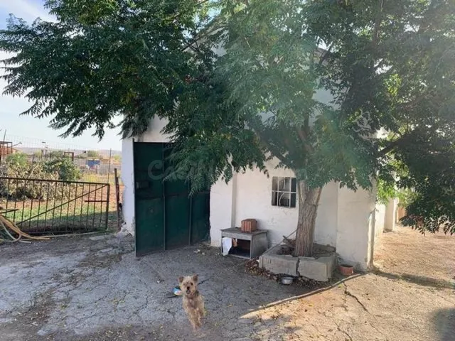 ZONA CORTIJO DEL RUBIO - Parcela de 6.000 m, casa de 200 m2  - foto 5