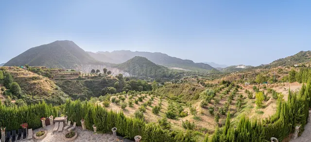 FINCA CON CASA EN VENTA OJEN — 29