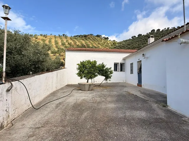 Finca rústica de 26 ha con 3.000 olivos ecológicos, cortijos y alta producción. — 45