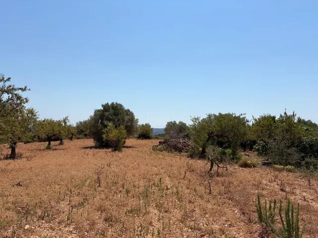 Terreno rural en venta - Comunidad valenciana - foto 2