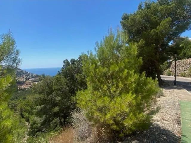 Vistas al mar, terreno en ALTEA para 1 chalet grande , en venta OPORTUNIDAD! — 4