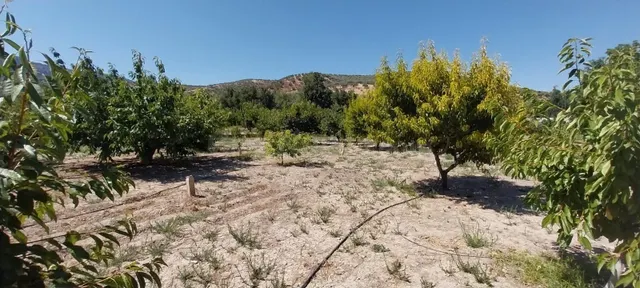 🍒 FINCA REFORMADA EN CASTILLO DE LOCUBÍN – DONDE LA VIDA HUE - foto 2