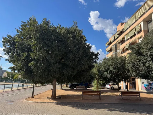 NUDA PROPIEDAD EN ZONA CÁMARA DE COMERCIO – GRANADA — 8
