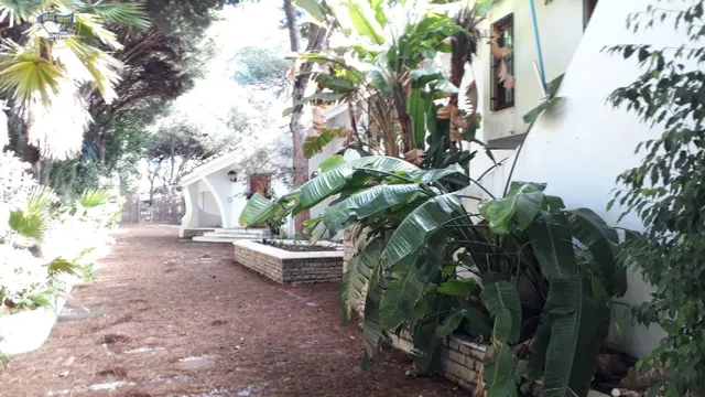 EXCELENTE VILLA PARA REHABILITAR EN CABOPINO — 7