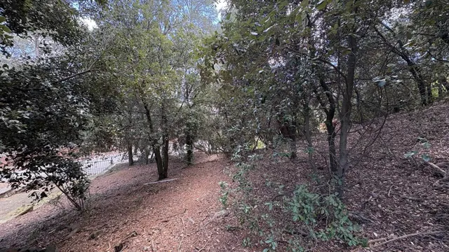 TERRENO URBANO EN SANT FELIU DEL RACÓ — 12