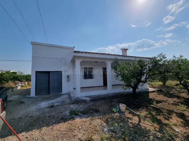 Finca Rústica con Producción de Naranjas en Vinarós - Oportu