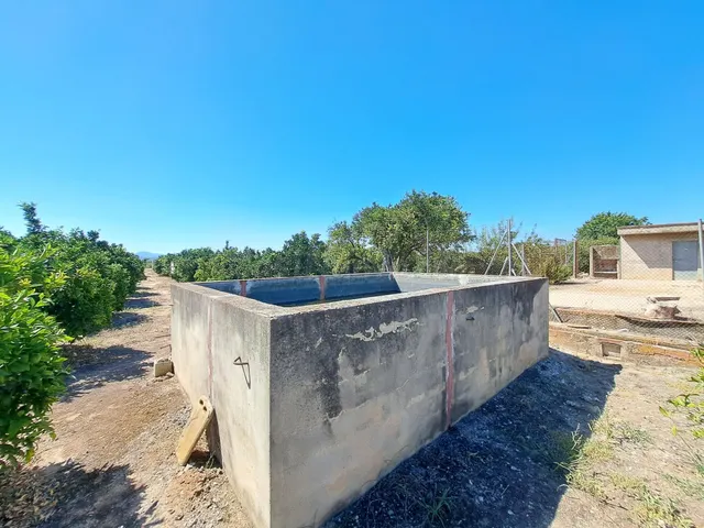 CAMPO DE NAVELINAS EN VENTA - foto 3