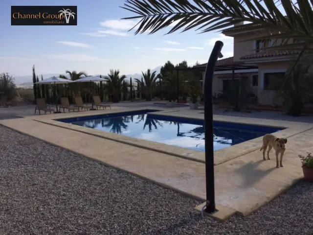 SE VENDE MAGNIFICO CHALET NOVELDA — 29
