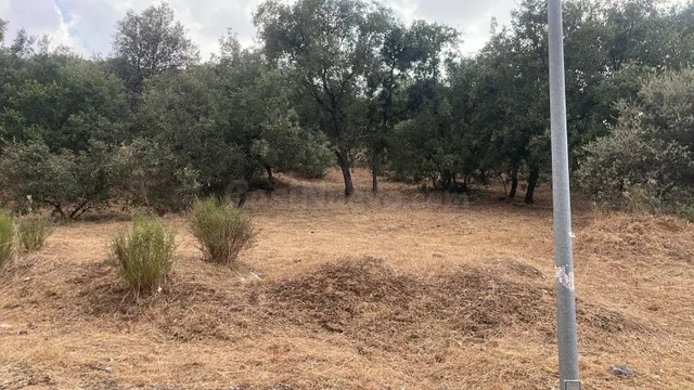 Terreno urbano en venta - Mesones - foto 3