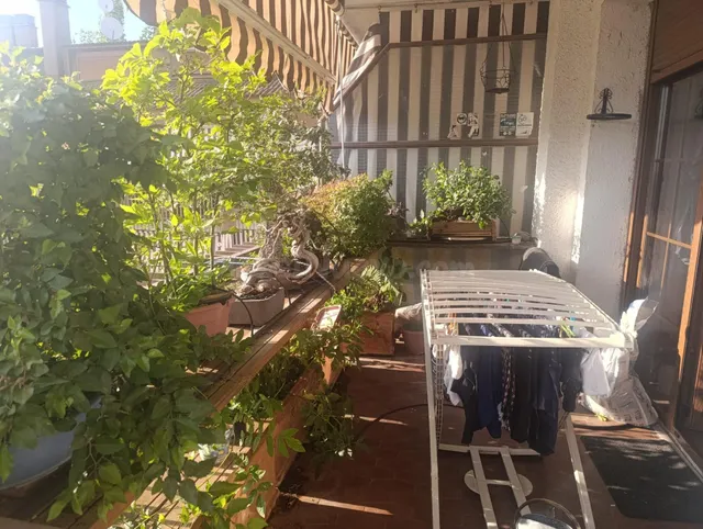 Espectacular Piso en Talamanca de Jarama con Amplia Terraza y Piscina Comunitaria — 29