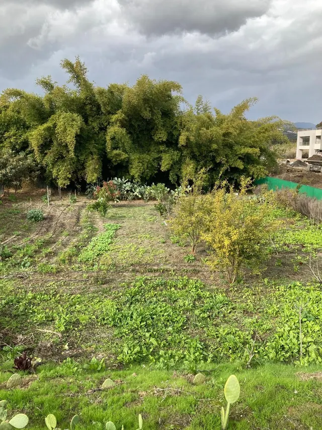 Suelo urbanizable en Casares para desarrollo residencial — 4