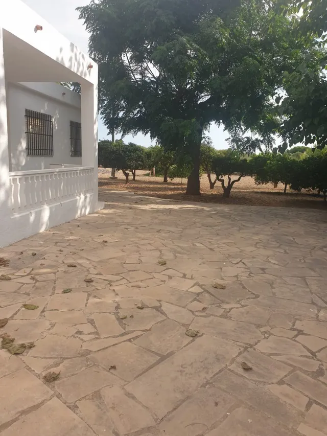 Terreno con 2 casas en Vinaros — 27