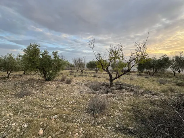 Terreno rural en venta - Murchas - foto 5