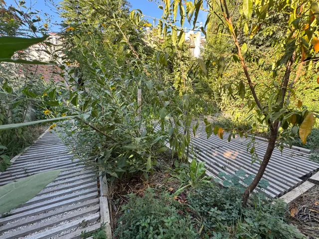 Nave en zona urbana con 264 m2 y con jardín de 114 m2 orientado al sur, garaje y gran potencial como estudio profesional. — 19