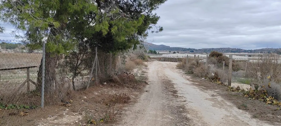 SE VENDE TERRENO A 20 MINUTOS DE ALICANTE CON AGUA Y CASA PARA REFORMAR