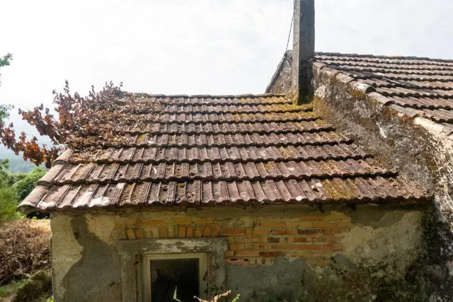 Casa de campo-Masía en Venta en Arbo Pontevedra — 9