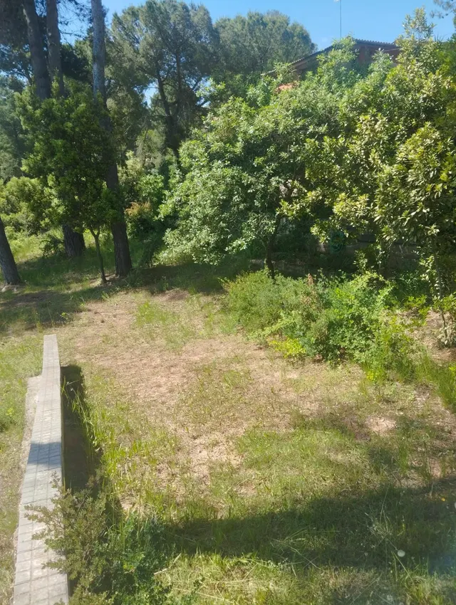TERRENO URBANO, LLANO, CON MURO Y AGUA IDEAL PARA CONSTRUIR — 3