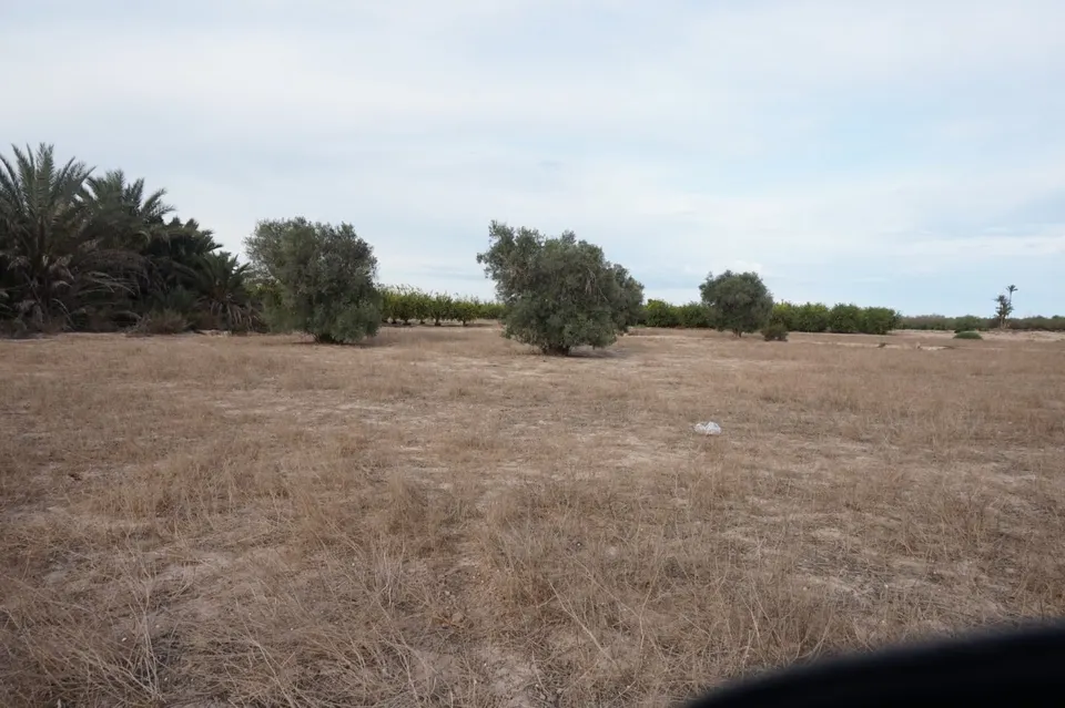 AMPLIA PARCELA DE 13000 M2 ZONA DE LA HOYA