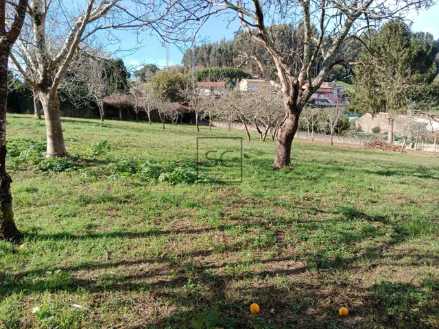 FINCA EDIFICABLE CAMPOLONGO-PONTEDEUME — 13