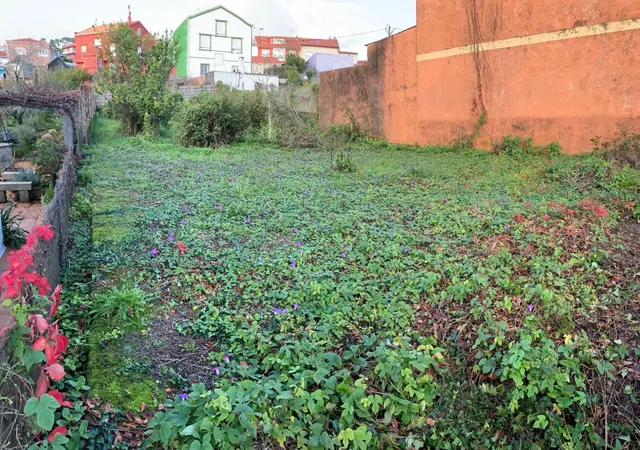 TERRENO URBANIZABLE EN CABO DE CRUZ — 11