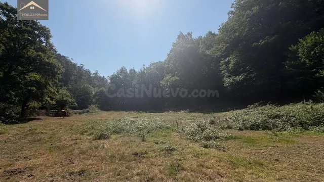 Finca Urbanizable con autorización de la CROTU y proyecto bá - foto 3