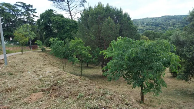Parcela soleada en venta — 4