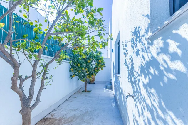 Se alquila villa en santiago de la ribera + piscina (san pedro de pinatar) — 22