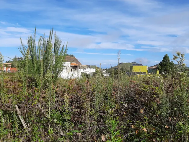 SOLAR URBANO CON FINCA RUSTICA — 20